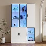 Kayan Glasvitrine, Glasschrank mit Tür, Vitrinenschrank mit LED Lichtern, Schrank mit Glastür mit Aluminiumrahmen, MultiStorage Bücherregal für Sammlung Schlafzimmer Wohnzimmer Büro, 120x35x200cm