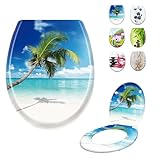 LARS360 Toilettendeckel WC Sitz mit Absenkautomatik, Antistatisch Antibakteriell Leicht zu Reinigen Abnehmbar Für Meisten Klodeckel Hänge WC, 45 x 38cm (Das endlose Meer)