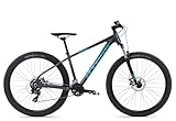 Axess Sandee Mountainbike | MTB-Hardtail | 14-Gang Schaltung | Mechanische Scheibenbremsen, Farbe:Grey, Rahmengröße:21 Zoll, Laufradgröße:29 Zoll