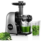 HOUSNAT Slow Juicer, Entsafter Gemüse und Obst, Profi Entsafter mit Ruhigem Motor │ Umkehrfunktion │ Saftkanne │ Reinigungsbürste │ 2 Filterelemente, BPA Frei (Silber)