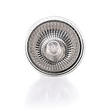 plplaaoo 25W Halogen Wärmelampe UVA UVB -Lampenheizung Glühbirne für Reptilien Echsenschildkrötenaquarium (Silber)