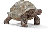 SCHLEICH WILD Life | Riesenschildkröte 14824 | detailgetreue Tierfiguren | Zoo Spielzeug Jungen und Mädchen | Deko für Geburtstag | Spielfigur ab 3 Jahren | 8 x 4 x 4 cm