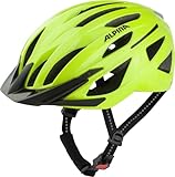 ALPINA Gent MIPS - Reflektierender, Optimal Sichtbarer & Sicherer MIPS Fahrradhelm mt Fliegennetz Für Erwachsene, be Visible Gloss, M (55-59 cm)