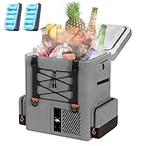 LiTHELi elektrische Kühlbox FrozenPack tragbare Auto Kühlbox 20L, 12/24V DC 110/240V AC Rucksackkühlschrank für Camping, Reisen, Wohnmobil, Kühlbox mit 2 Akku, 15 Minuten Schnellkühlung