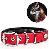 PetTec Halsband für große & kleine Hunde aus Trioflex™ | wetterfest & verstellbar in Farbe | Hundehalsband in Rot, Braun, Schwarz & Leuchtend Orange