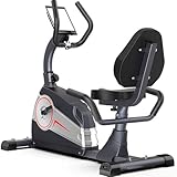 Liegeergometer, magnetisches High-End-Heimtrainer mit verstellbarem Sitz und Griff, Indoor-Fahrrad für Cardio-Training zu Hause/im Büro
