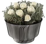 Generisch Grab Pflanzschale aus Aluminium massiv -grau patiniert- Blumenschale Grabschale