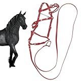 -Halfterleder - Verstellbare Halter - Pferdegurt | U Lederhalter Mit Bleiseil, Verstellbare Gepolsterte Pferdegurt | Bequeme Ergonomische Halter Für Das Tägliche Fahren