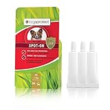 bogaprotect SPOT ON Hund - Floh und Zeckenschutz für Hunde - 1-4 kg - Zeckenmittel für Hunde - Natürlicher Zeckenschutz für Hunde - UBO0350 - Vorrat für 12 Wochen