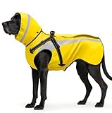 Oslueidy Hund Regenmantel wasserdichte Regenmäntel für Hunde Regenjacken mit Kapuze Haustier Regen Poncho Mantel für kleine mittlere große Hunde Welpen S-XXL (Gelb, M)