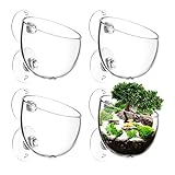 AIMEKE® 4 Stück Wasserpflanzentopf Aquarium Deko Kristallglas Glas Cup Pflanzenhalter Cup Topf Pflanz für Aquarienpflanzen, mit 8 × Saugnäpfen