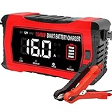 HTRC 16A Autobatterie Ladegerät, 6V/12V/24V Batterie Ladegerät für Auto LKW Motorrad Rasenmäher Boot Marine Batterien, Lithium Ladegerät, LiFePO4 Ladegerät, Blei-Säure Ladegerät für AGM, Gel, EFB usw