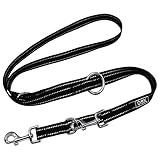 DDOXX Reflektierende Nylon Hundeleine - 2M, 3Fach Verstellbare Hundeleine Für Alle Hundegrößen - M (Schwarz)