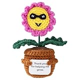 TOYMIS Gänseblümchen Häkeln, Handgefertigtes Gestricktes Positive Gänseblümchen mit Dankeskarte Ermutigende Gehäkelte Blumentopfpuppe für Thanksgiving Mutter Lehrerin Schreibtischdekoration