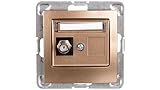 Ospel GPA-1YF/m/28 Security Electronics, Gold