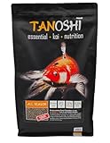 Tanoshi Koifutter - All Season Sink 5 kg 4,5 mm | sinkendes Winterfutter für Herbst, Frühjahr und Winter | Koifutter für ausgewogene Koi-Ernährung mit Lachsöl