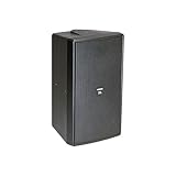 JBL C29AV-1 2-Wege-Lautsprecher für den Innen- und Außenbereich schwarz