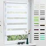 Grandekor Doppelrollo Klemmfix ohne Bohren Weiß 40x120cm(Stoffbreite 36cm) Fenster Rollos für innen Klemmrollos Duo Rollos für Fenster ohne Bohren mit Bohren Privatschutz UV-Schutz Zebrarollo