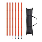 getuse 6 x Fußball-Stöcke, 150 cm, tragbares Trainingsgerät mit Tragetasche, helle Farben, Stöcke für Fußball, Hockey-Übungen, Outdoor-Sportarten