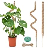 VFANDV Pflanzenstütze, 120cm Biegsamer Kokos Pflanzstab mit Schnur und Klettverschluss, Moosstab für Kletterpflanzen im Innenbereich zur Unterstützung von Zimmerpflanzen