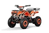 Nitro Motors Kinder Elektro Quad Torino Sport Eco 1000W 36V 12Ah Akku Vorwärts Rückwärtsgang 6 Zoll snowy profile LED Scheinwerfer (Orange)