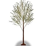 Suusolny 150cm LED Lichterbaum 240 LEDs Innen und Außen Weihnachtsdeko Künstlicher Olivenbaum Leuchtbaum Lichterbaum Lichterzweige Baum Dekobaum Lichterdeko für Büro Wohnzimmer - Warmweiß Licht
