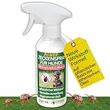 GREEN GUARDIA Zecken Abwehrspray Power-Konzentrat 500 ml – Pflanzlicher Zecken- & Flohschutz für Hunde – Sprühfertig & sofort wirksam – Ideal für Fell, Liegeplätze & unterwegs – mit ätherischen Ölen