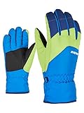 Ziener Kinder Lando Glove junior Ski-Handschuhe/Wintersport, persian blue, 4,5