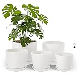 Bamworld Blumentöpfe 5 Set 17.8cm/16cm/14cm/12.7cm/11.3cm Blumentopf Weis Pflanzentopf mit Untersetzer,Anzuchttöpfe,Zimmerpflanzen,Fensterbank deko