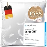 Daunenkissen 80x80 (2er Set) | Made in Germany | 3-Kammer Kopfkissen mit Daunen & Federn | Federkissen 80x80 cm | Federkopfkissen | Kopfkissen Daunen 80x80 | Kissen Daunen