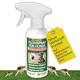 GREEN GUARDIA Flöhe Abwehrspray Power-Konzentrat 500 ml – Pflanzlicher Zecken- & Flohschutz für Hunde – Sprühfertig & sofort wirksam – Ideal für Fell, Liegeplätze & unterwegs – mit ätherischen Ölen
