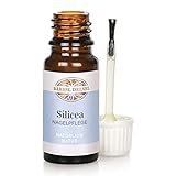 Nagelöl Silicea Nagelaufbauserum & Nagelpflege (10ml) Schutz & Stärkung Nagelhaut + Spendet Feuchtigkeit mit Kamillenöl, Brüchige Nägel Treatment Nail Repair Gel Nagelhärter BÄRBEL DREXEL®
