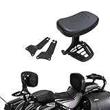 XYHZMZ Motorrad Verstellbare Mehrzweck-Fahrer-Beifahrer-Rückenlehne Schwarz Für H&Arley Touring-Modelle 2009-2013