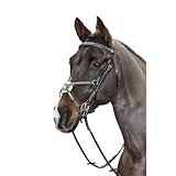 John Whitaker Whitaker Valenica Vorderzeug aus Leder mit 5 Punkten, Schwarz, Cob