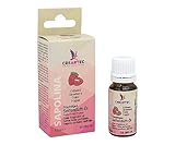 Artidee CREARTEC Fruchtiges Seifenduftöl - Verschiedene Duftnoten - für die Herstellung von Seifen - 10 ml - Made in Germany (Erdbeere)