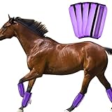 4 Stück Pferdebein-Anti-Moskito-Abdeckung, Universalgröße, Pferde-Leggings, feines Netzgewebe, Fliegengamaschen für Pferde, atmungsaktiv, schützende Pferdebeinbandagen zur Vermeidung von Fliegen (B)