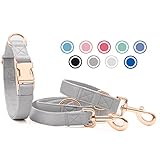 Weich Leder Hundehalsband und Leine (2m) Set - 3-Fach Verstellbar Hundeleine mit Halsband, Stilvollen Rose Gold Metall Schnalle & Nylon Hund Leinen für Welpen Kleine Mittlere Große Hunde Grau,S