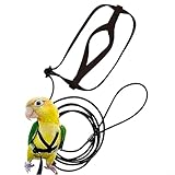 Papageienleine und verstellbares Geschirr, weiches Nylongewebe für komfortable Outdoor-Abenteuer (S)