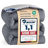 BEDSURE Bettdecke 135x200 Ganzjahresdecke Steppdecke - Bettdecke Ohne Bezug 135x200cm 300GSM - 4 Jahreszeiten Bettdecken Wende Grau/Hellgrau, Weiche Warm Duvet Schlafdecke für Allergiker