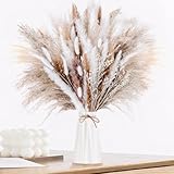 Pampasgras Getrocknet 60pcs Natürliche Trockenblumen Deko DIY Trockene Blüten Strauß,Pampasgras-Bouquet Schilfblume Deko Ideal for Boho Wohnzimmer-Schlafzimmer-und Vasen (LZGSGO-0104)