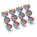 YARNOW 4 Stück DNA Doppelhelix Modellbausatz für Schüler Molekulares Genmodell aus Stabilem Kunststoff Pädagogisches Lernspielzeug zur Biologievermittlung