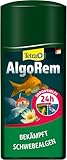 Tetra Pond AlgoRem - 24-Stunden-Soforthilfe gegen grünes Wasser im Gartenteich, bekämpft Schwebealgen, 500 ml