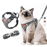 LUOJINYI Verstellbares Katzengeschirr mit Leine Ausbruchsicher, Katze Brustgeschirr mit Reflektierend Streifen & Atmungsaktiv Netzgewebe, Softgeschirr für Katzen Kätzchen Welpen (Dunkelgrau, S)