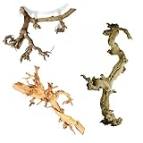Rebholz hell - ca. 50cm - Dekoholz, Echtholz Wurzel, Weinwurzel, Weinrebe, Deko, DIY Holz, Bastelholz - Terraristik Rebkopf - Terrarium