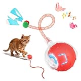 OCCOUMR Elektrischer Katzenball, Interaktives Katzenspielzeug Katzenball mit 3 Modi, Vogelstimmen, 2 Schwanzseilen & LED-Licht, USB-Ladung, 360° Unregelmäßige Bewegung
