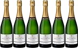 Champagne Bernard Bijotat Cuvée Terroir Champagne AOP Brut (herb) (6 x 0.375 l)