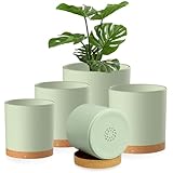 Homeuouz 5 Packs Blumentopf mit Untersetzer, 17.8/15.2/14/12.7/10.2cm Pflanzentopf, Plastik Übertopf, Hydrokultur Topf, Blumentöpfe Set Ideal für Innen und Balkongärten, Grün mit braunes Tablett