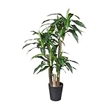 HTT Decorations - künstliche Pflanzen - Dracaena/Drachenbaum - in - 135 - Grünpflanze - im Topf - Deko - Zimmerpflanze