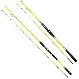 KIZQYN Angelrute Spezielle Angel for Boot Angelrute Offshore Bootsrute Luminous Rod Tip Super Hard Licht Sea Fishing Ansicht Eisenplatte Angel-Combos (Size : Straight Handle 1.68)