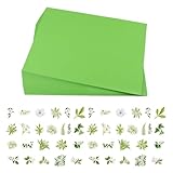 SGSCFG 100 Grüne Origami, 46 Aufkleber, Einfache Origami -Requisiten, Kreative Retro -Versiegelungsaufkleber, Handgefertigte Unterrichtsvorräte.